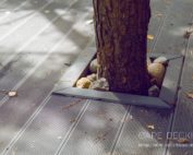 Composite Decking Cape Town 1