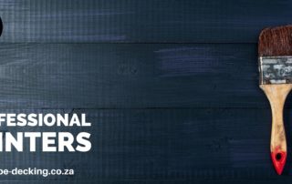 professional painters cape town