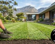 Kikuyu Grass Why It Holds Up Better Than Almost Any Other Lawn in South Africa - Kikuyu Grass - Roll on Lawn - Cape Decking