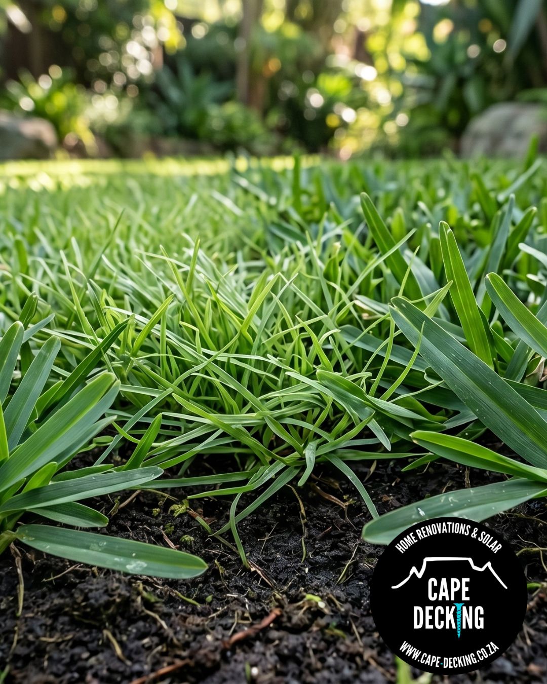Kikuyu grass - roll on lawn - cape decking